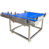  Bottle Feeding Conveyor 