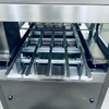 BG-4 Inline Type Fruit Vegetable PET Tray Sealing Machines