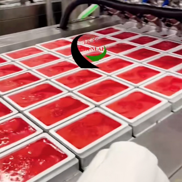 Duck Blood Tofu Production Line- Box Filling Sealing Machine