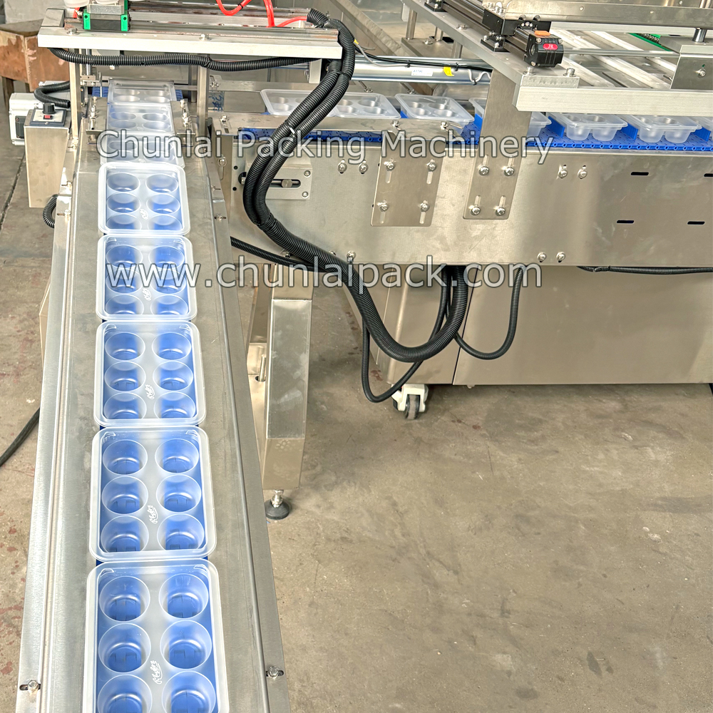 TF Mochi Tray Sealing Machine
