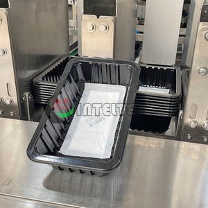 tray pad placer.jpg